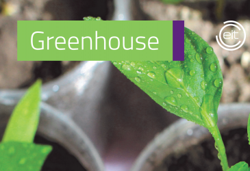 Greenhouse pre-incubation programme